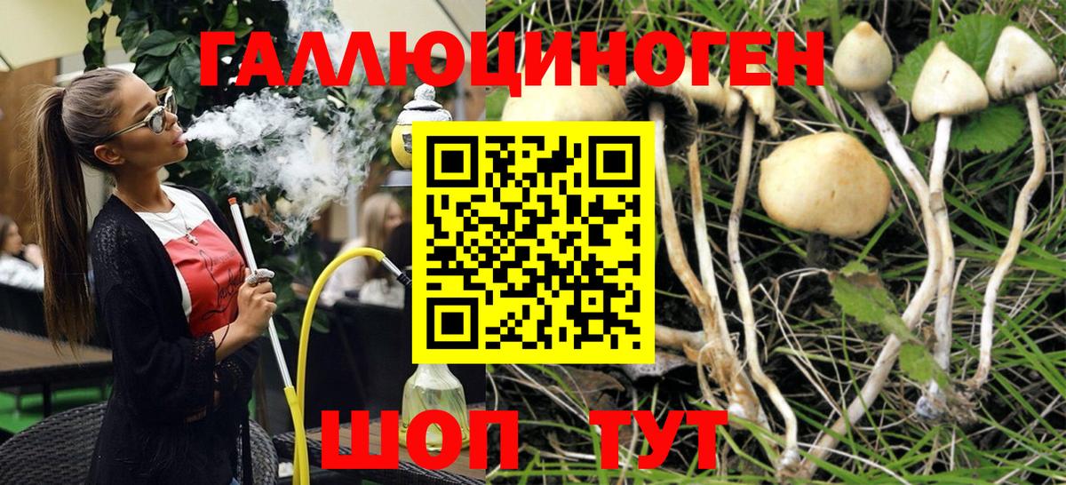 Галлюциногенные грибы Psilocybine cubensis  Вход с VPN  Боровичи 