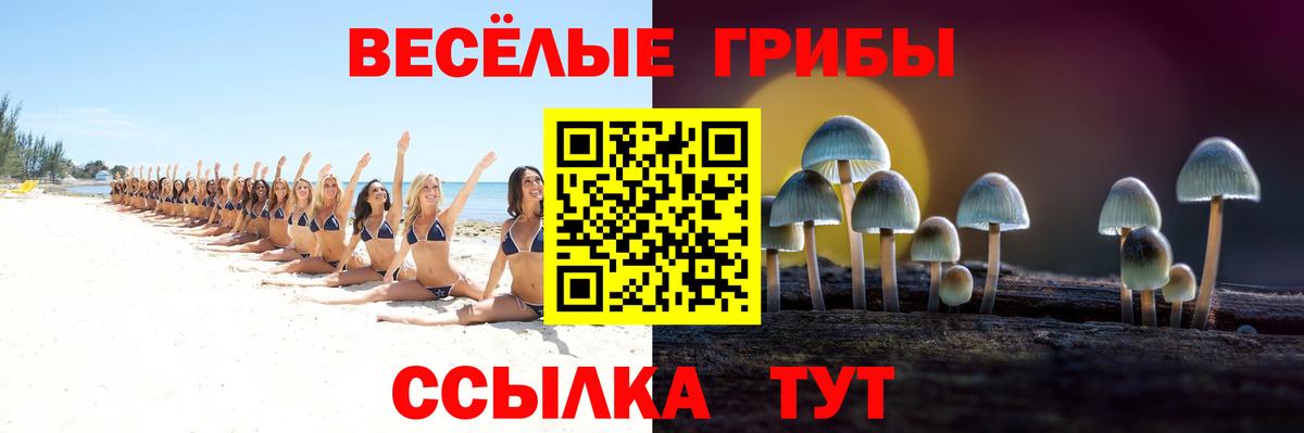Галлюциногенные грибы Magic Shrooms Боровичи